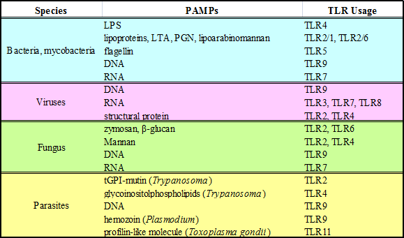 表 TLRによって認識される微生物成分