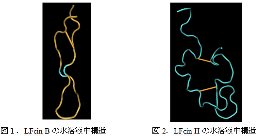 図 LFcinBとLFcinH水溶液中構造